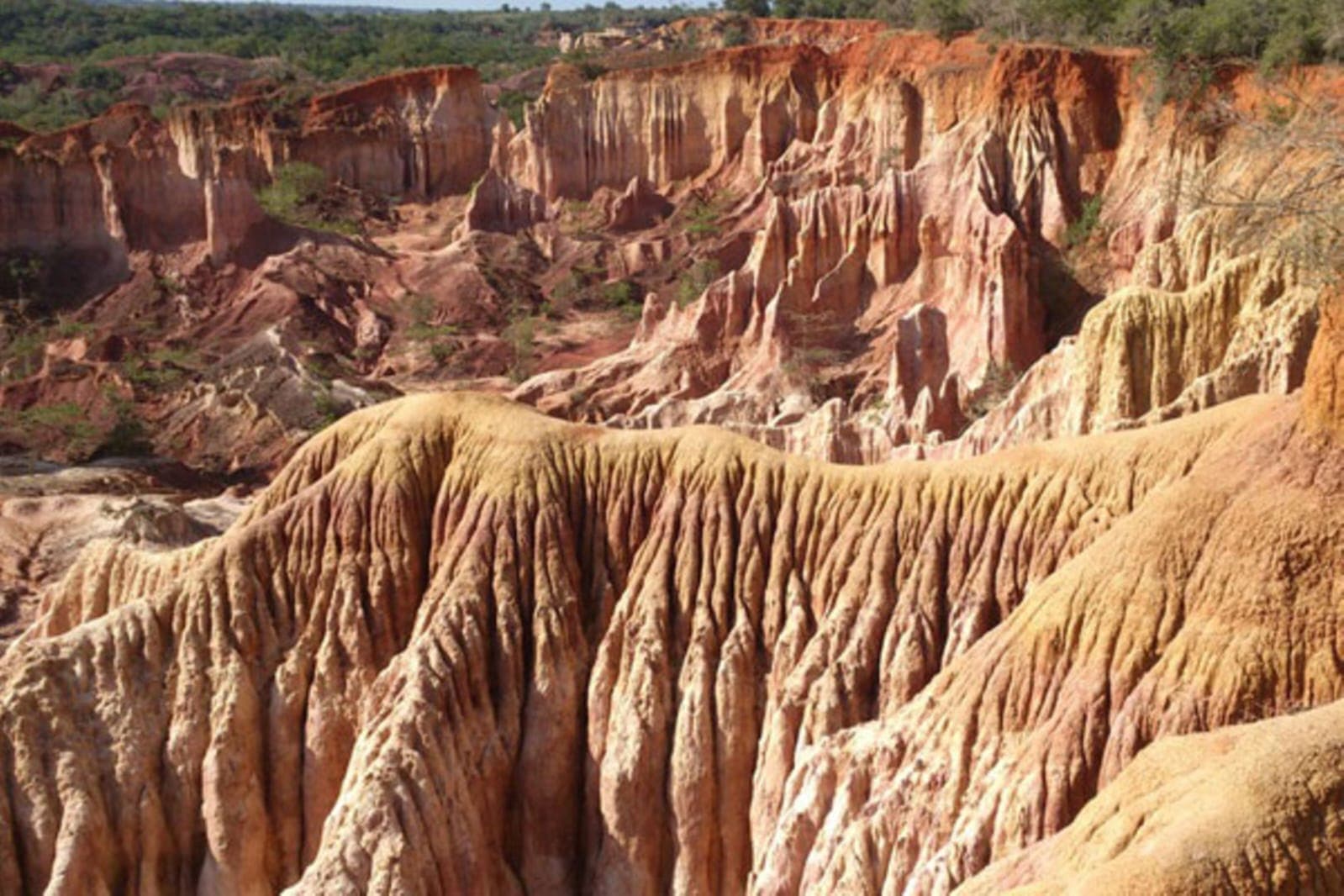 Close-up detail of wind-carved sandstone spires at Marafa Depression